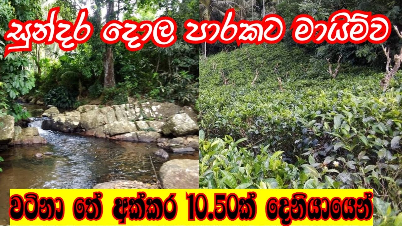 සුන්දර දියපහරකට මායිම්ව වටිනා අක්කර 10.50ක් දෙනියායෙන් | Tea Land For Sale in Deniyaya | properties