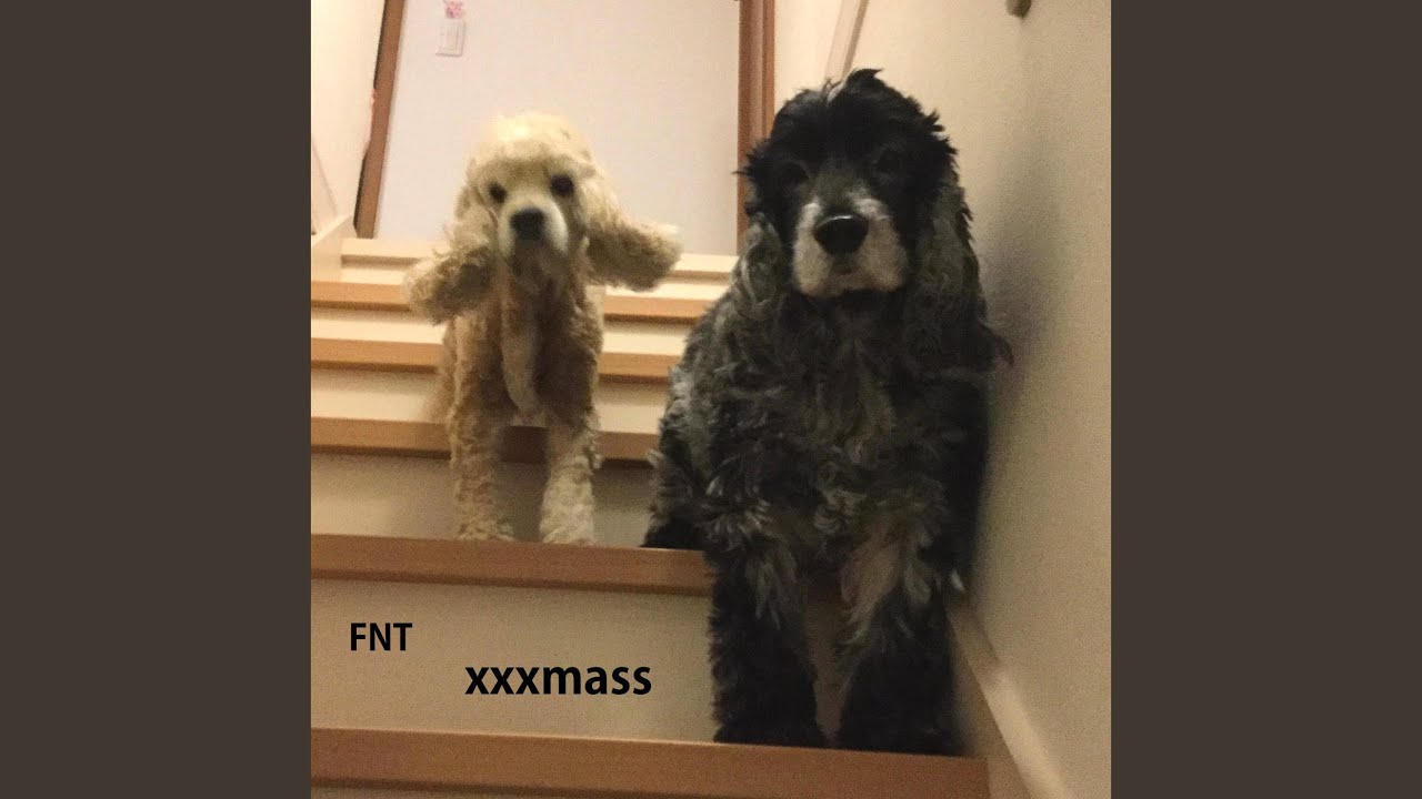 xxxmass