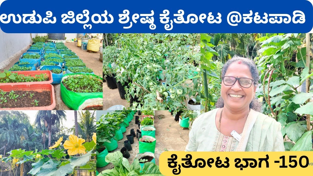 ತಾರಸಿ ಮೇಲೆ ಕಟ್ಟಿದ ಕೃಷಿ ಸಾಮ್ರಾಜ್ಯ‼️ಅನಿತಾ ಕೋಟ್ಯಾನ್ ಕೃಷಿ ಸಾಧನೆಯನ್ನು ಗುರುತಿಸಿದ ಪ್ರಸಿದ್ಧ ಮಾಧ್ಯಮ ಸಂಸ್ಥೆ