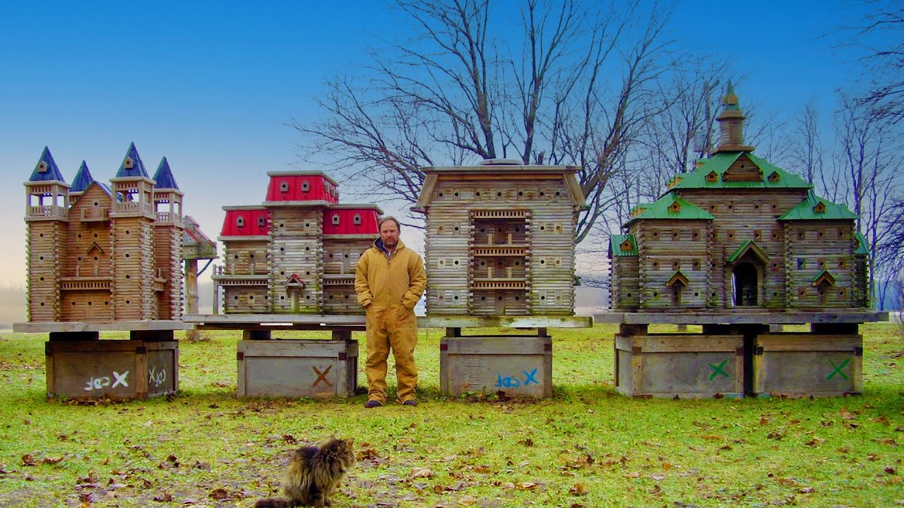 World's Largest Birdhouses - Coolest Thing I've Ever Made EP25