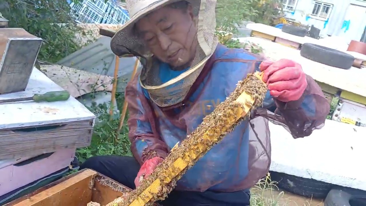 양봉인의하루 