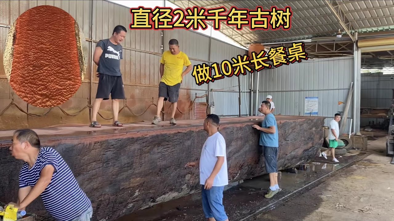 用直径2米千年古树，做长10米的餐桌，最后怎么搬进家里