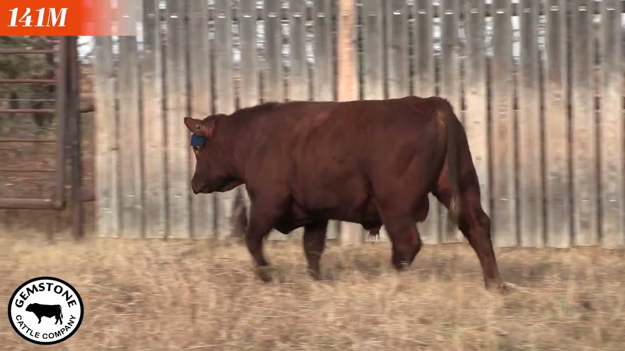 141M - RED GEMSTONE 14K LAD 141M