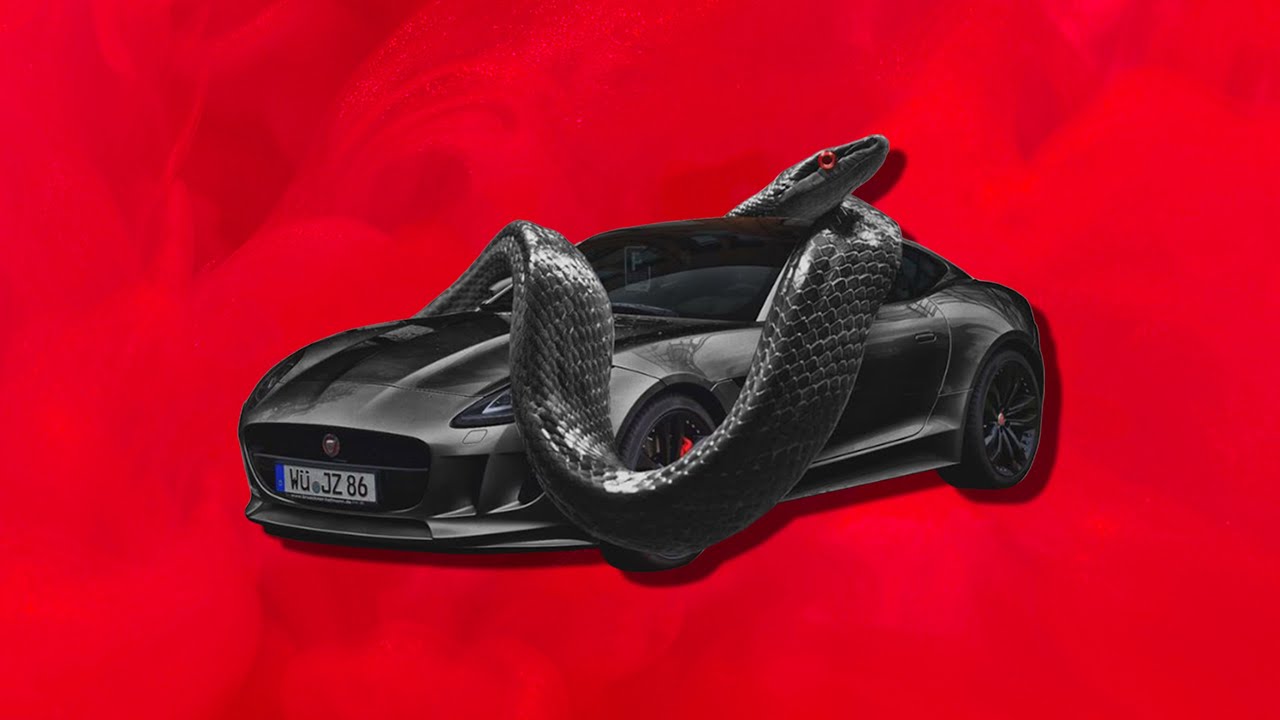 The Ultimate Club Vibe: GAS PEDAL | Free Type Beat 2024
