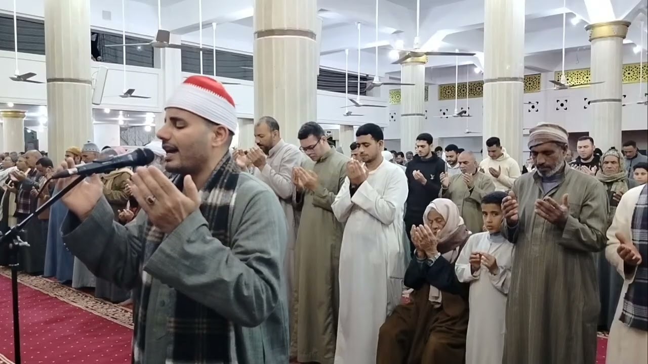 ركعة الوتر والقنوت تراويح رمضان 2026/1447 القارئ السيد البحيري 