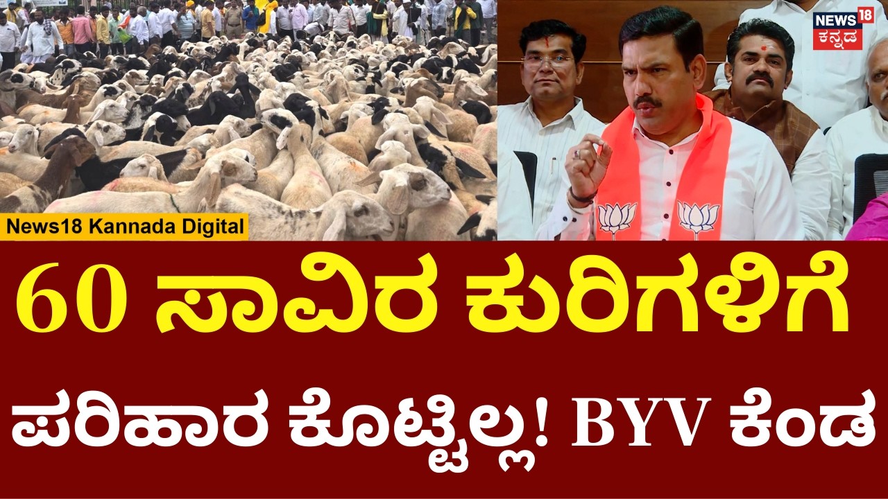 BY Vijayendra On Congress Govt | ಕೇವಲ 30 ಸಾವಿರ ಕುರಿಗಳಿಗೆ ಮಾತ್ರ ಪರಿಹಾರ ಕೊಟ್ಟಿದ್ದಾರೆ! | N18V
