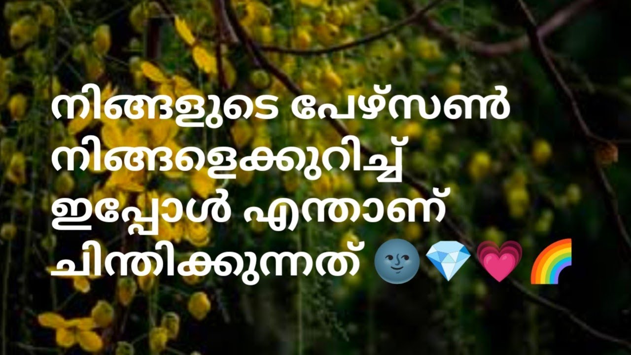 നിങ്ങളുടെ പേഴ്സൺ നിങ്ങളെക്കുറിച്ച് ഇപ്പോൾ എന്താണ് ചിന്തിക്കുന്നത് 🌚💎💗🌈