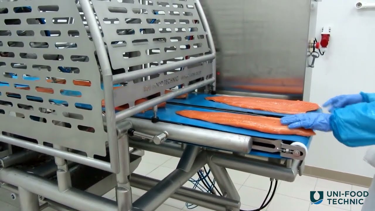 Fresh slicer DL 250 with packing table  |  Uni-Food Technic A/S