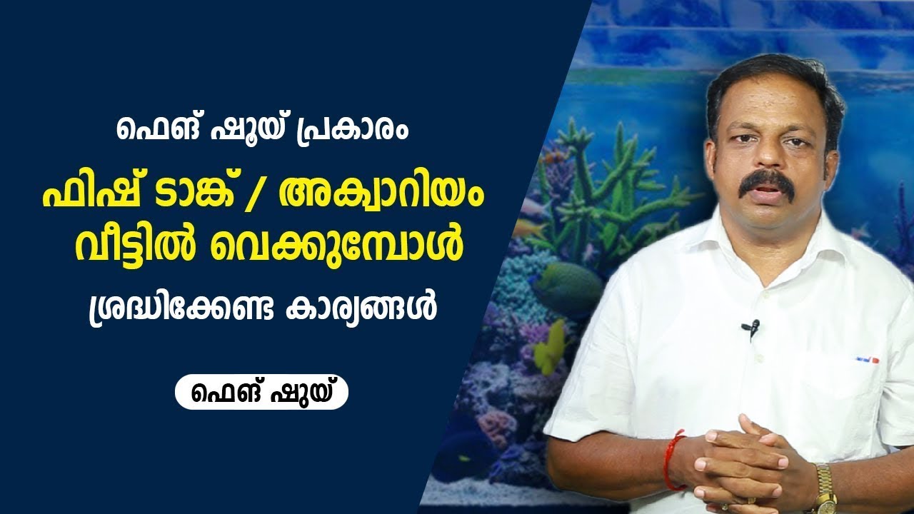 ഫിഷ് ടാങ്ക്   അക്വാറിയം വീട്ടിൽ വെക്കുമ്പോൾ ശ്രദ്ധിക്കേണ്ട കാര്യങ്ങൾ ഫെങ് ഷുയ് Feng Shui jyothisham