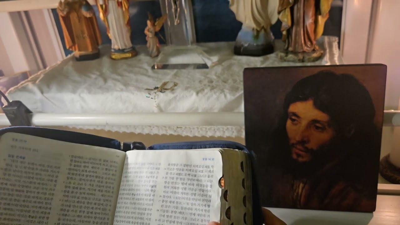 Bible Exodus Chapter 30 Reading Korean catholic 카톨릭 천주교 성경통독 탈출기30장 스테파노 reading by J.stephano