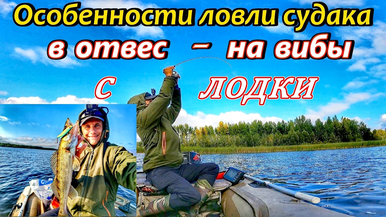 ЛОВЛЯ СУДАКА В ОТВЕС НА ВИБЫ/РЫБАЛКА В САМАРЕ НА ВОЛГЕ/КАК ЛОВИТЬ СУДАКА/РЫБАЛКА ОСЕНЬЮ/СУДАК НА ВИБ