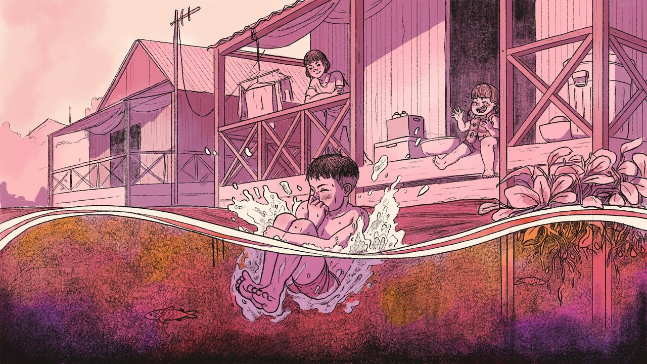 Illustrating Anthropology