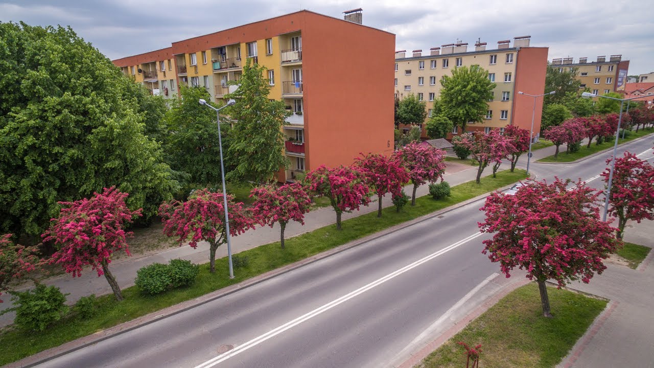 Kwitnąca ulica Wyspiańskiego w Tarnobrzegu - wideo z drona 4k