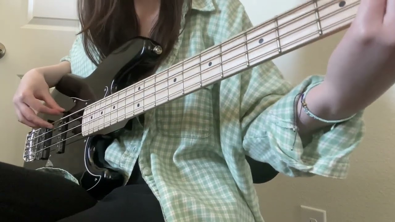 I've Got Some Falling To Do || Lemon Demon (Bass Cover)