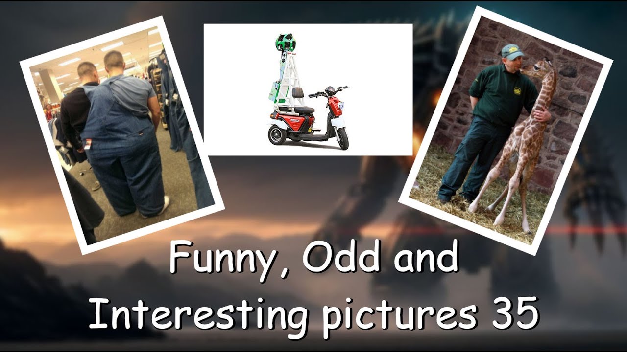 Funny, Odd, Interesting Pictures Video 35