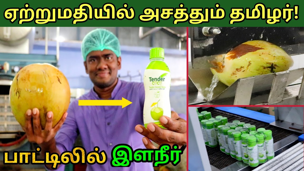 இளநீரை பாட்டிலில் அடைத்து ஏற்றுமதி! பல நாடுகளுக்கு அனுப்பும் தமிழர் | Tender Coconut export