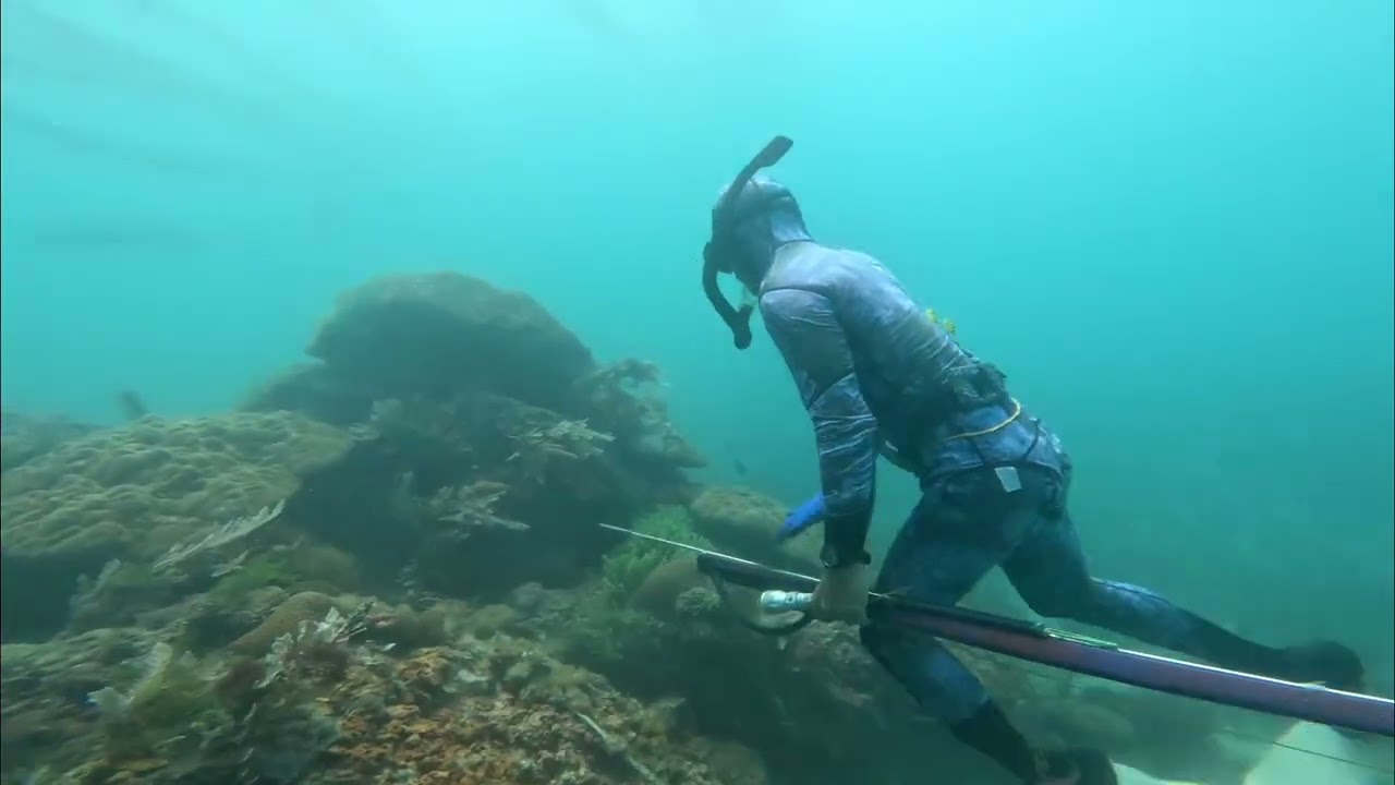 Curidas nanaman. Malaki sana ang trevally piro wala nakuha. #spearfishingphilipines #fishing #spea