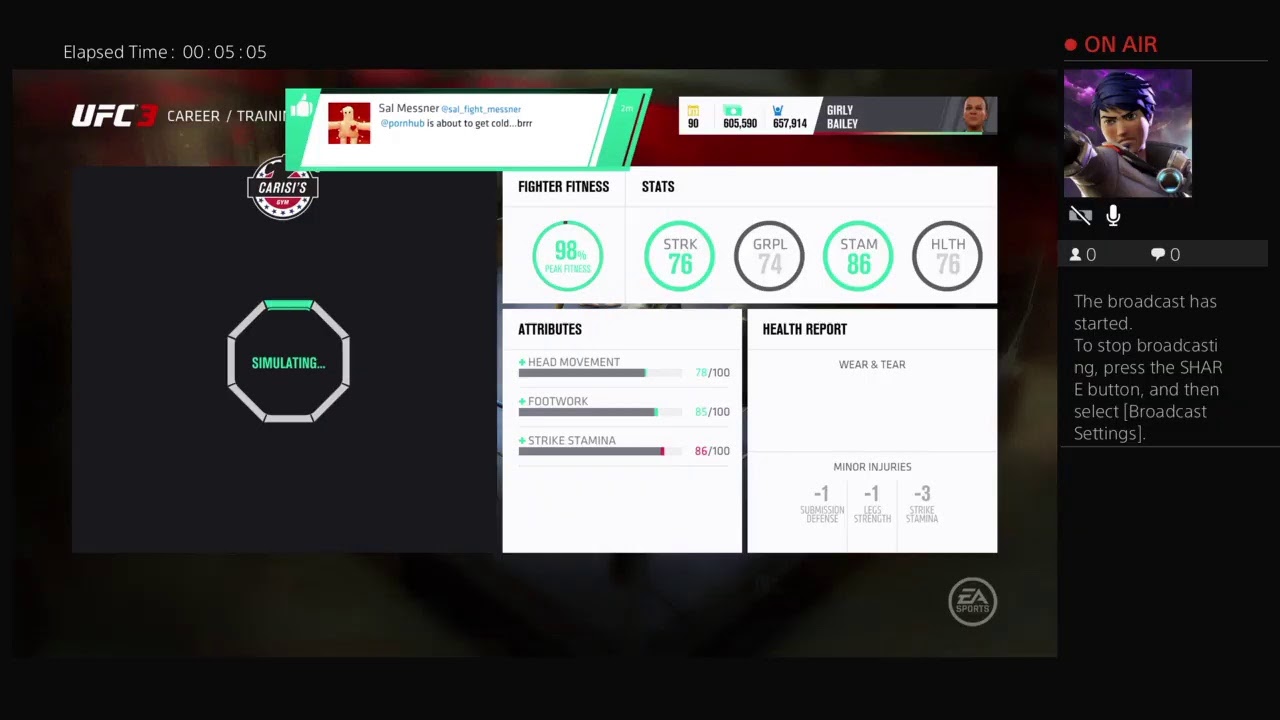 fancybailey's gamplay