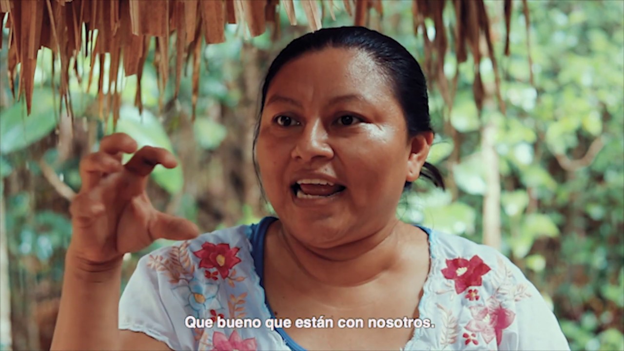 El PIB - Tamal enterrado. (Documental HD)