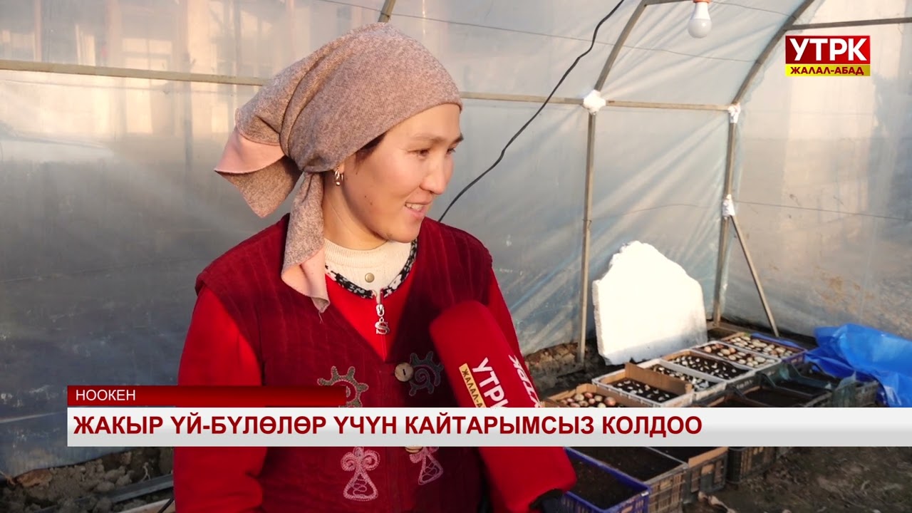 Жакыр үй-бүлөлөр үчүн кайтарымсыз колдоо
