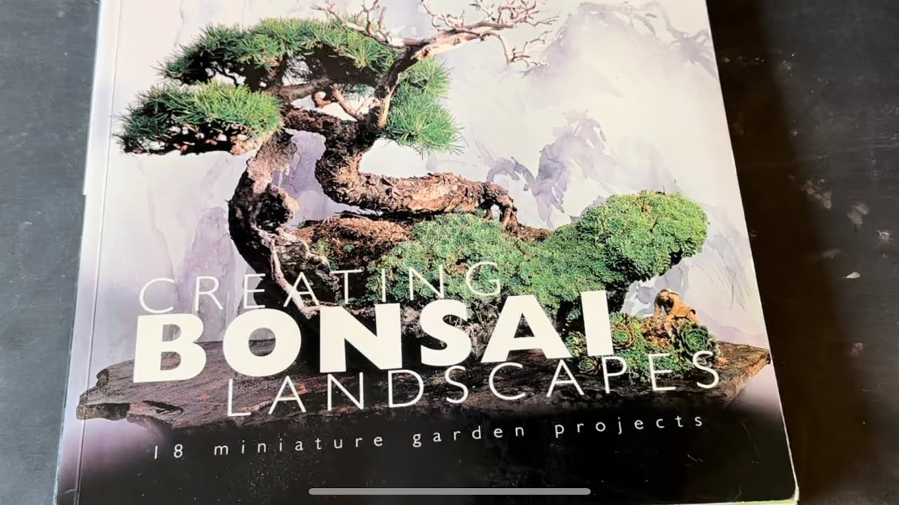 Creating bonsai landscapes by,          Su Chin Ee   @Bonsaicrazy #bonsaipots