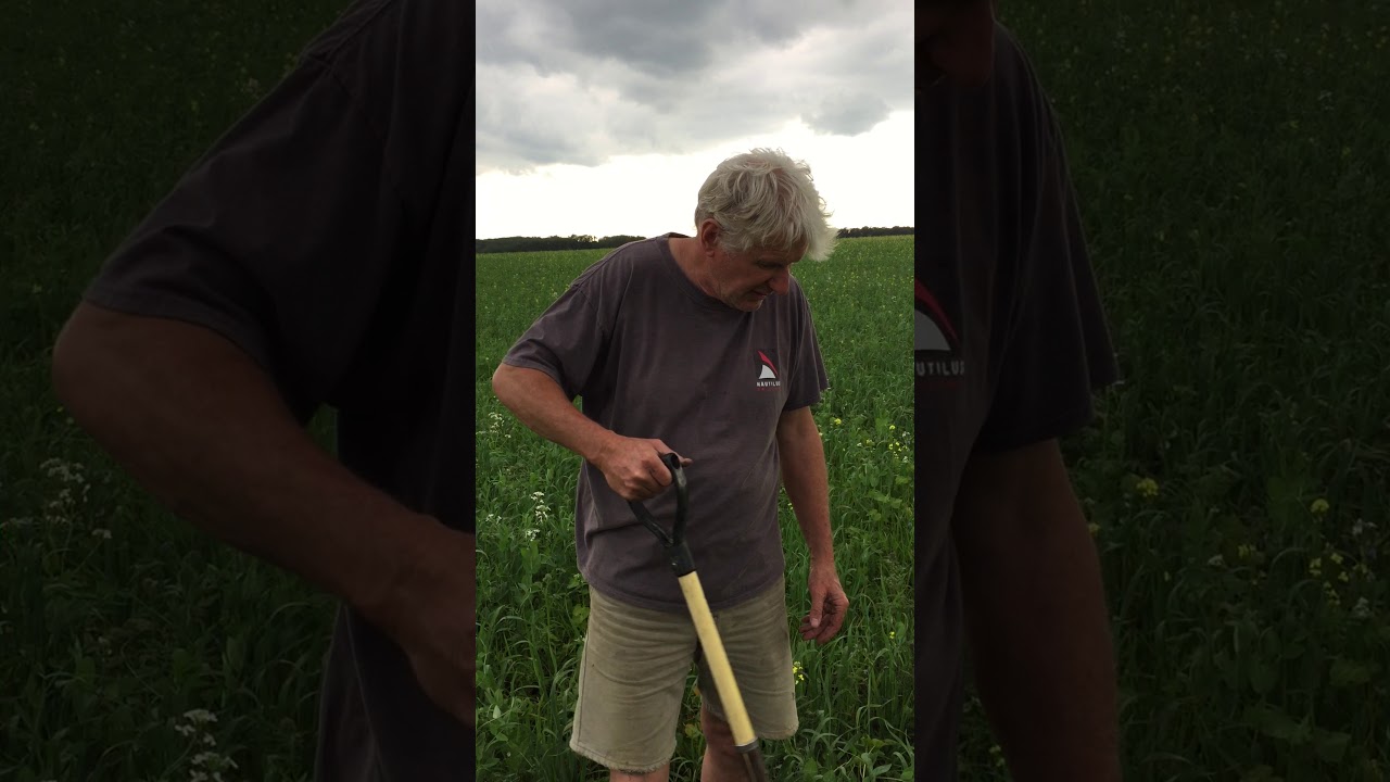 Gerald Wiebe Part 2 - Rebuilding soils without chenistry