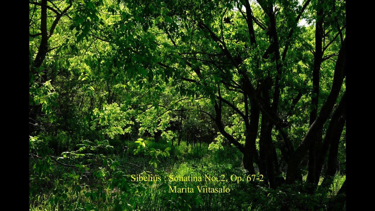 Sibelius : Sonatina No. 2