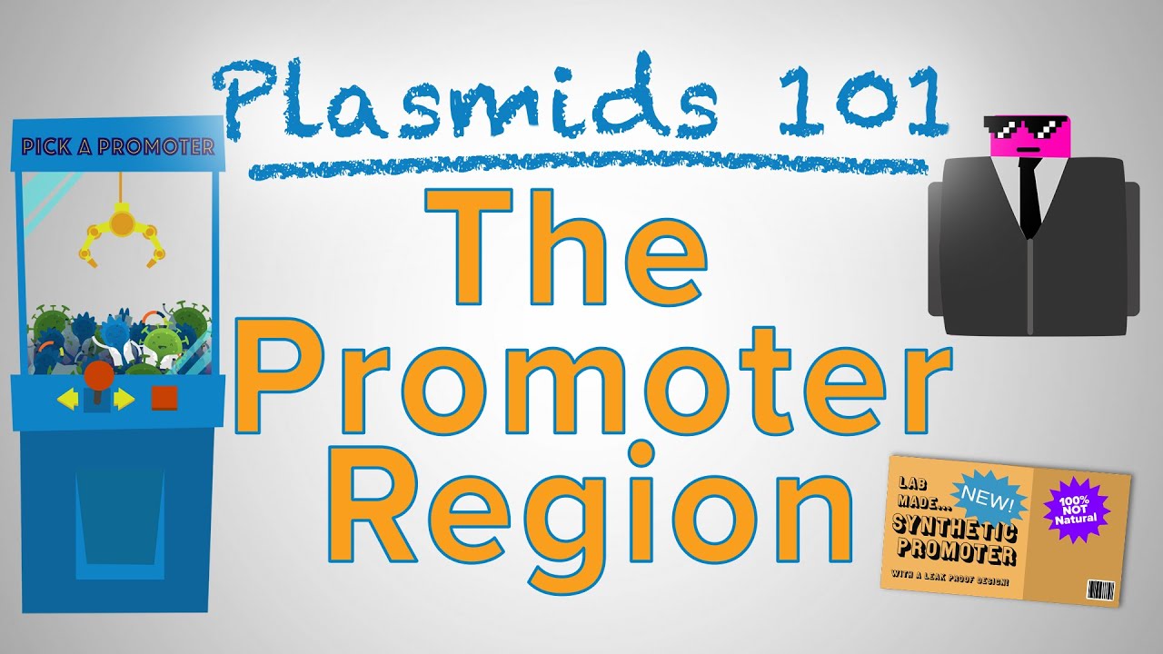 The Promoter Region - Plasmids 101