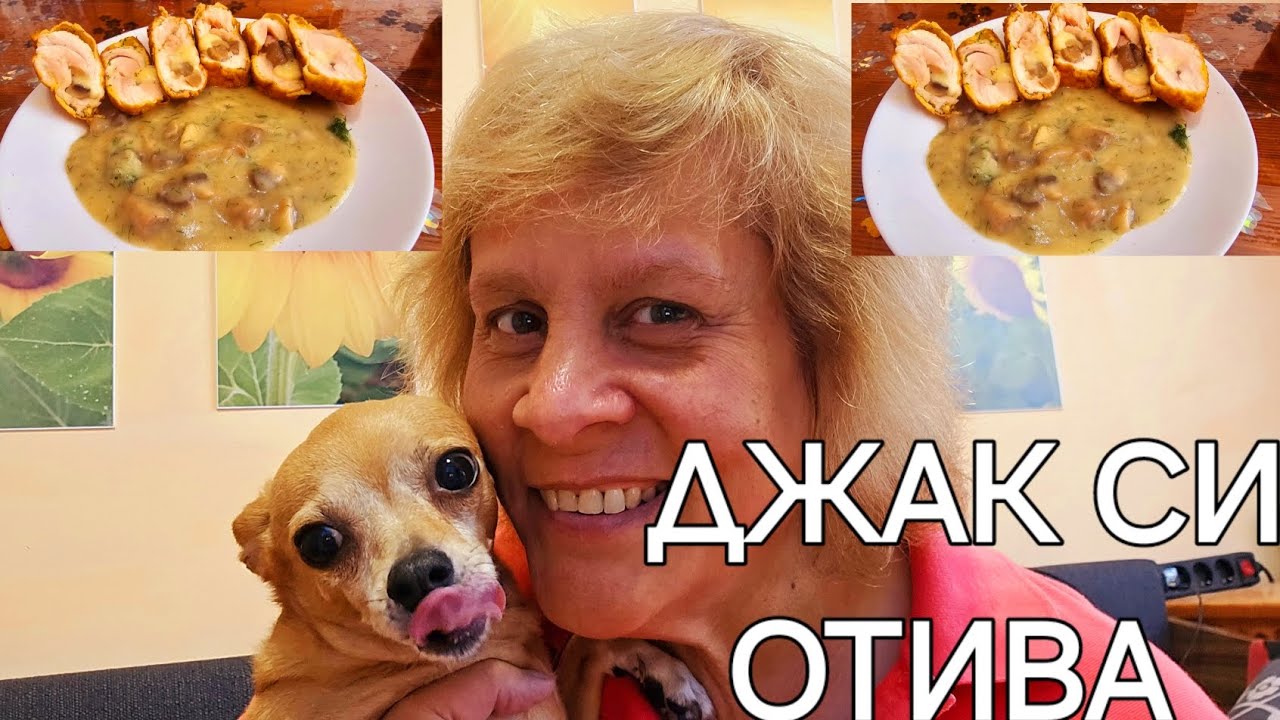 ПИЛЕШКИ РУЛА С ГЪБИ И КАШКАВАЛ 🍺