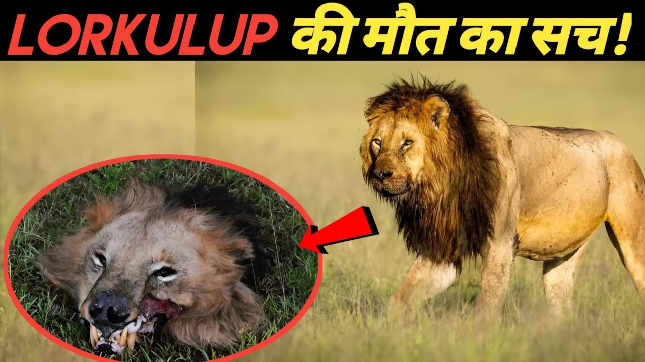 R.I.P 🙏 Lorkulup: The Untold Story of His Mysterious Death। Facts Phylum