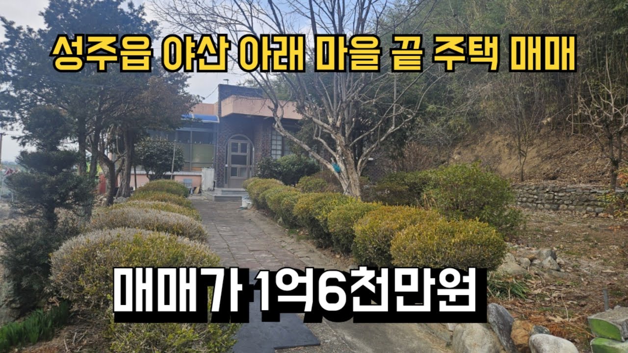 (#490)체크필수|성주군 성주읍 야산 아래 마을 끝 주택 매매 매매가 1억6천만원 _성주촌집매매.성주땅매매.성주전원주택매매