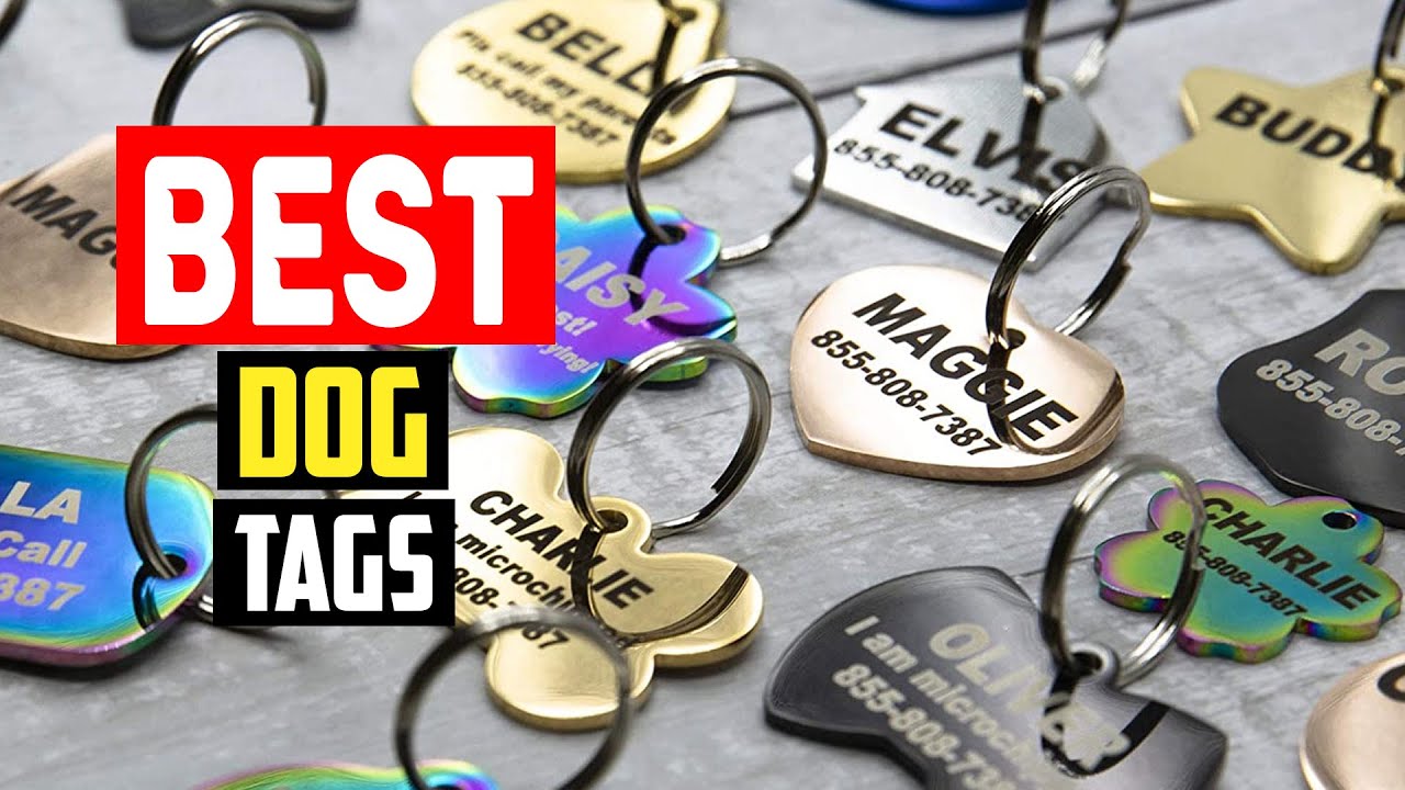 ✅ Best Dog Tags in 2023