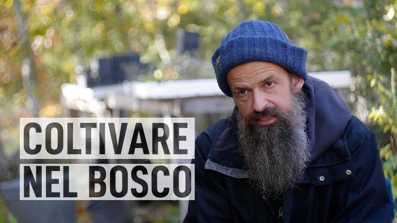 L'UOMO che COLTIVA nel BOSCO. La Scoscesa di Lorenzo Costa