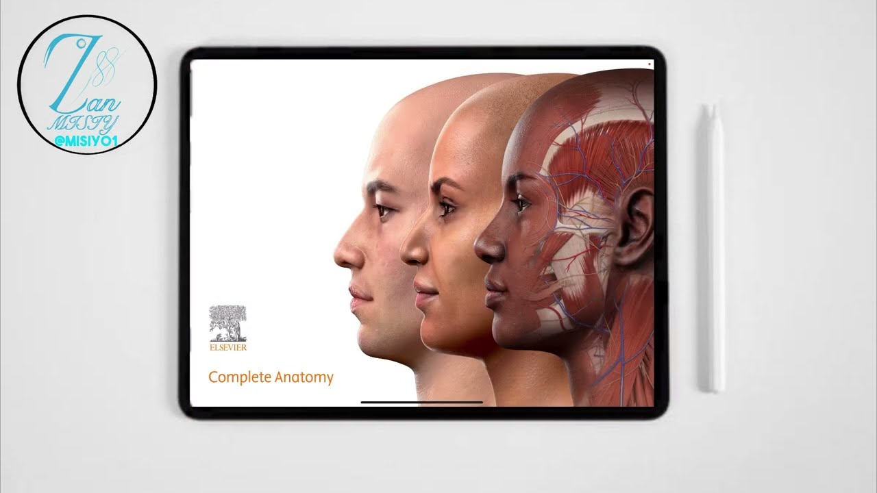 پێداچونەوەی ئەپەکان-ئەنەتۆمی Anatomy -ئاسانکردنی ئەناتۆمی
