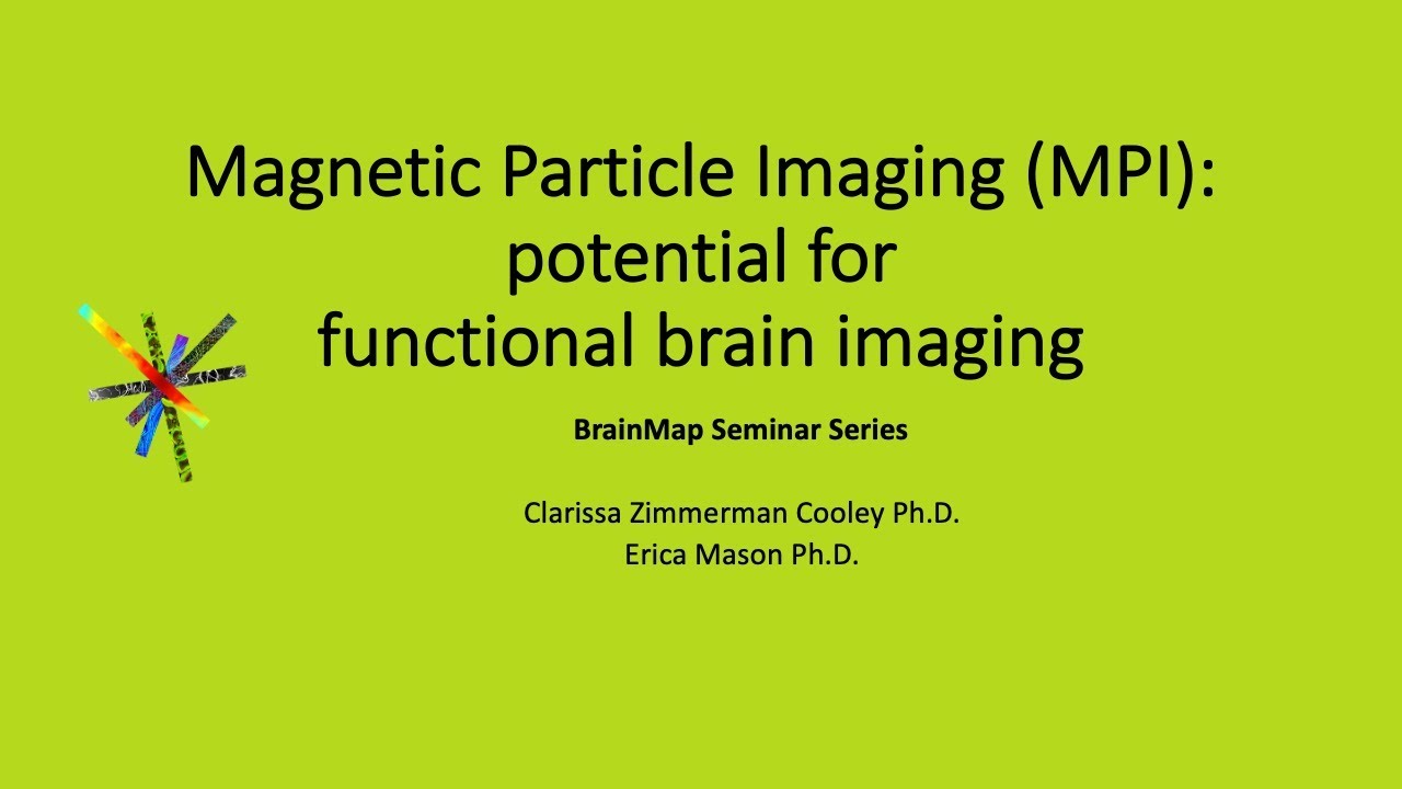 Magnetic Particle Imaging (MPI): potential for functional brain imaging