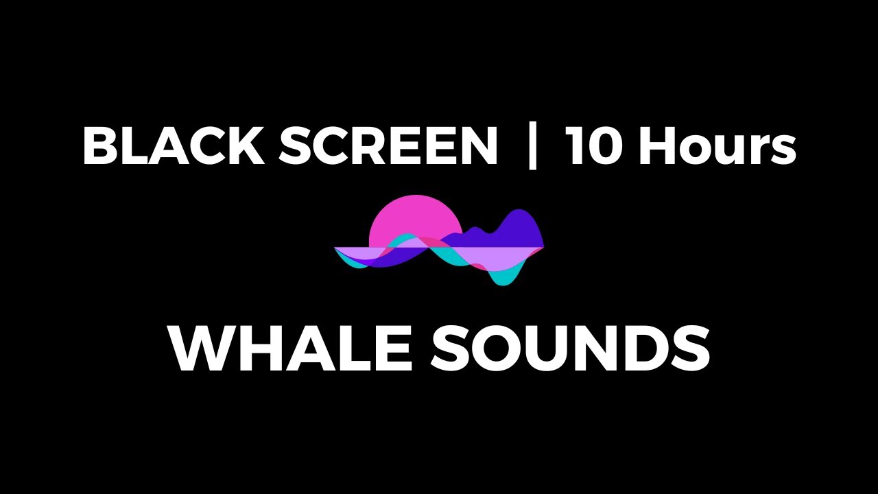 BLACK SCREEN  10 hours of WHALE SOUNDS for deep sleep