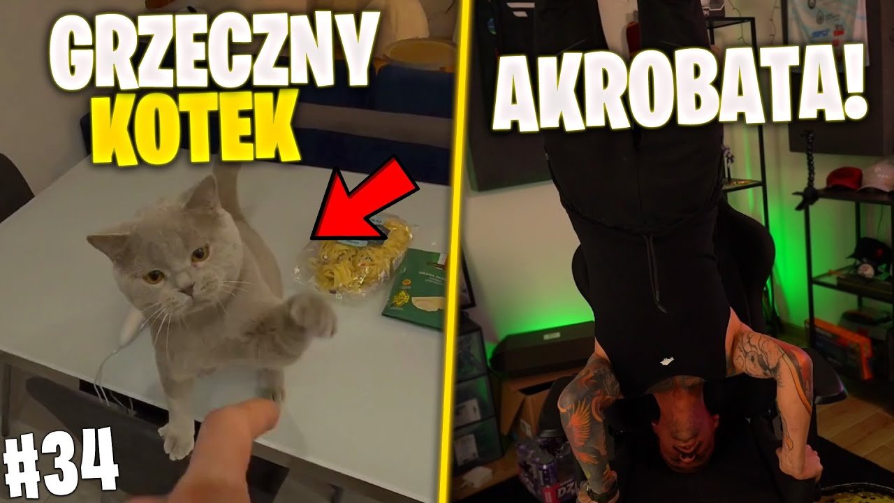 TYDZIEŃ Z BUNGEE | PODSUMOWANIE TYGODNIA - NAJLEPSZE MOMENTY | #34