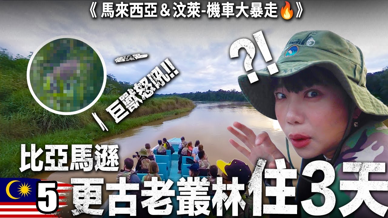 巨獸怒吼😱 直擊超稀有野生瀕危動物！世界最古老的原始雨林住三天！台灣人挑戰🇲🇾馬來西亞＆汶萊機車大暴走🔥｜Ep05