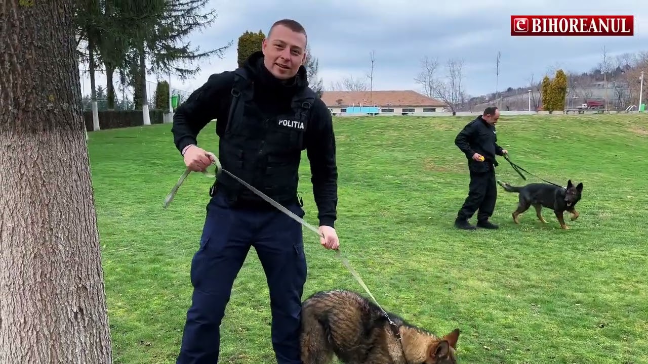 eBihoreanul.ro: Poliția Bihor a creat o mică „armată” de câini detectivi