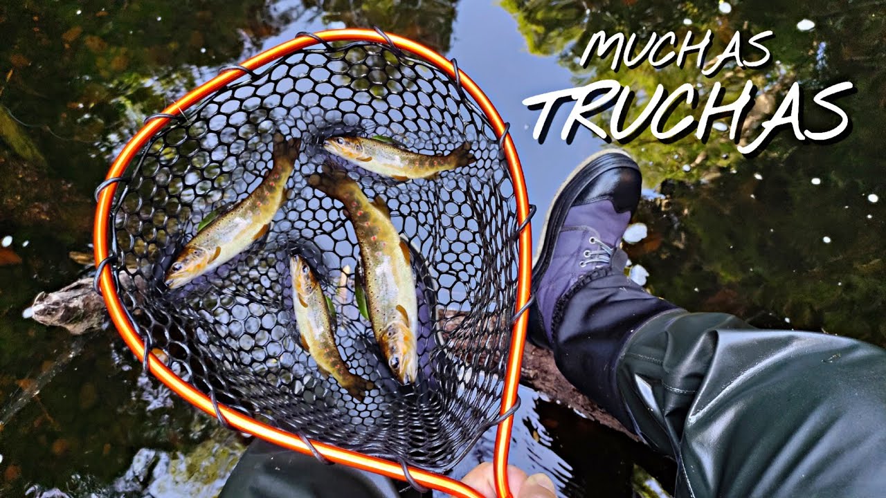 PESCA y Aventuras Con Muchas TRUCHAS // Baitcasting // TROUT // LURES // FLANDESMAN AVENTURA