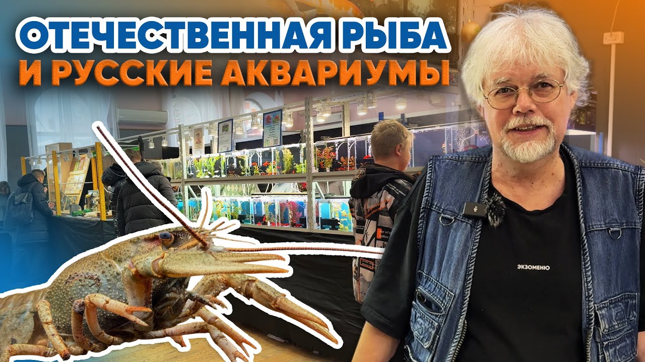 Аквариумные истории из ЭКЗОМЕНЮ (09.01.2026). Отечественная рыба и Русские Аквариумы (1 часть).