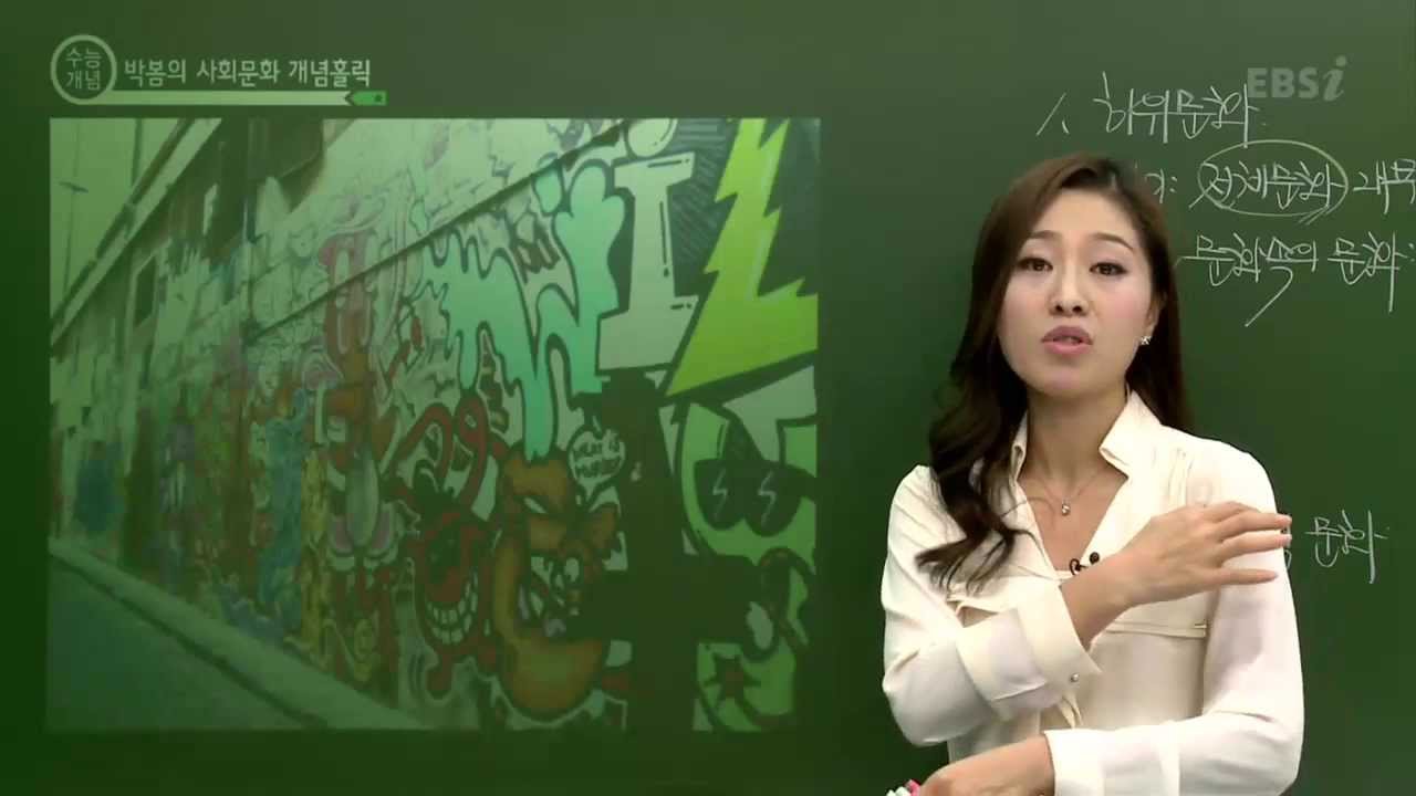 EBS [사회탐구] 사회문화 - 하위문화란?