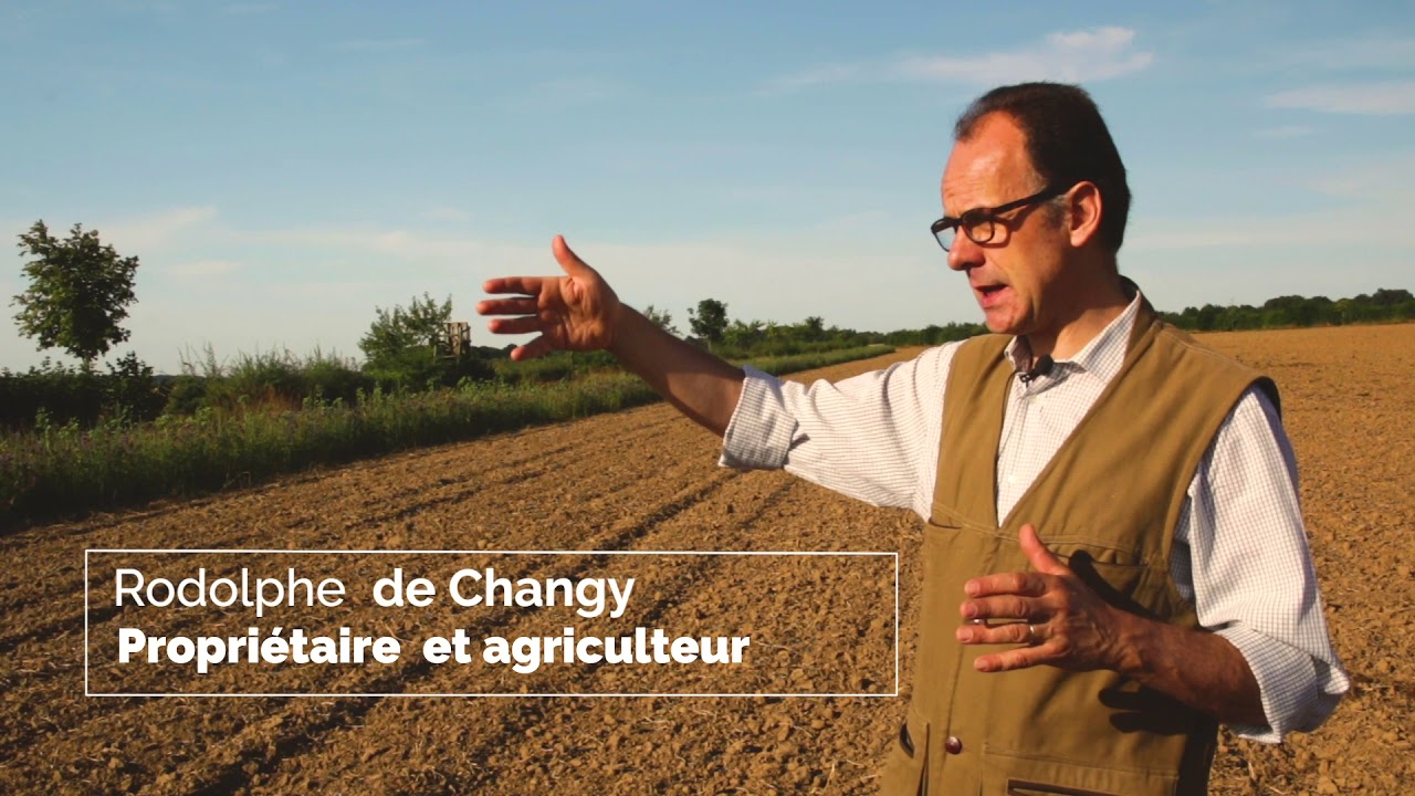 Haies multifonctionnelles   biodiversité