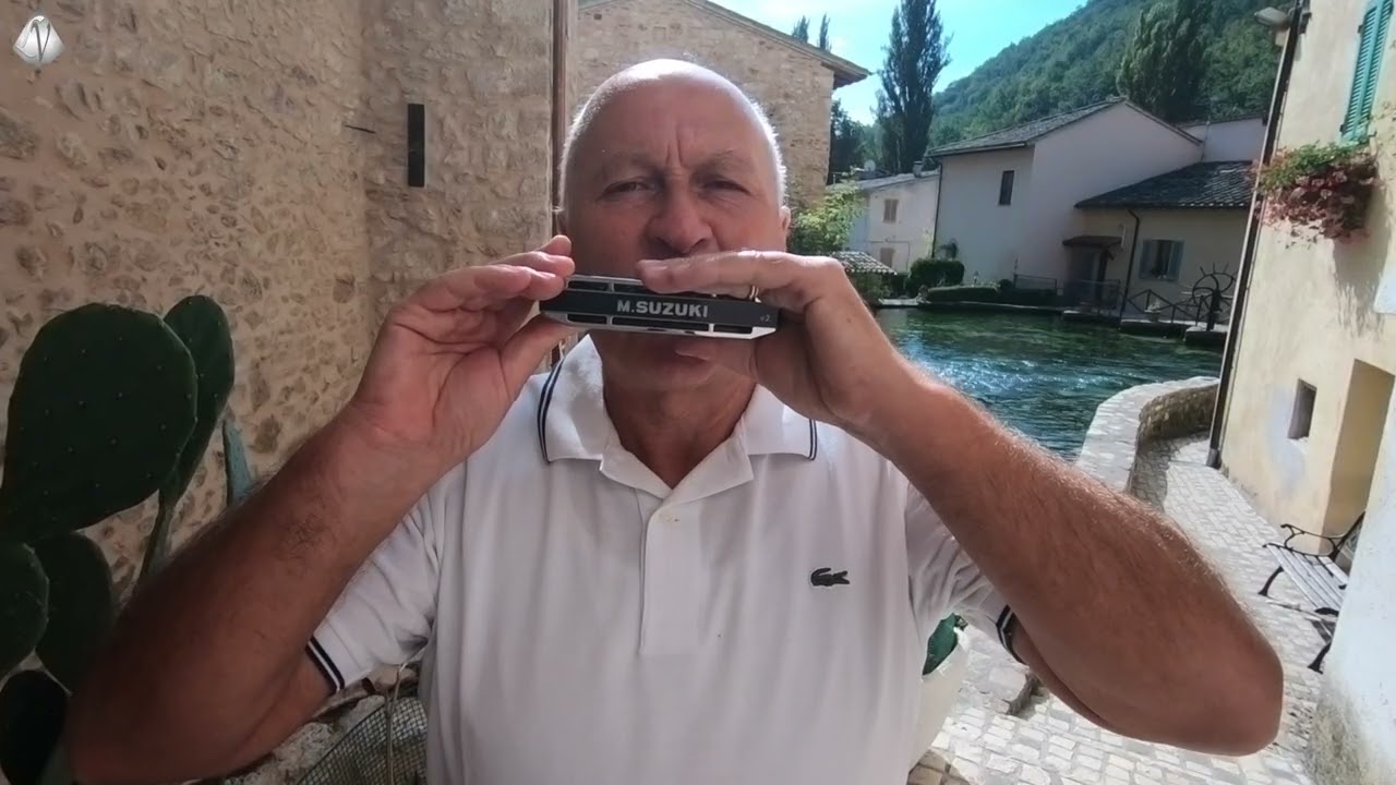 (G.Puccini) Tosca - Vissi d'arte, vissi d'amore  for Harmonica