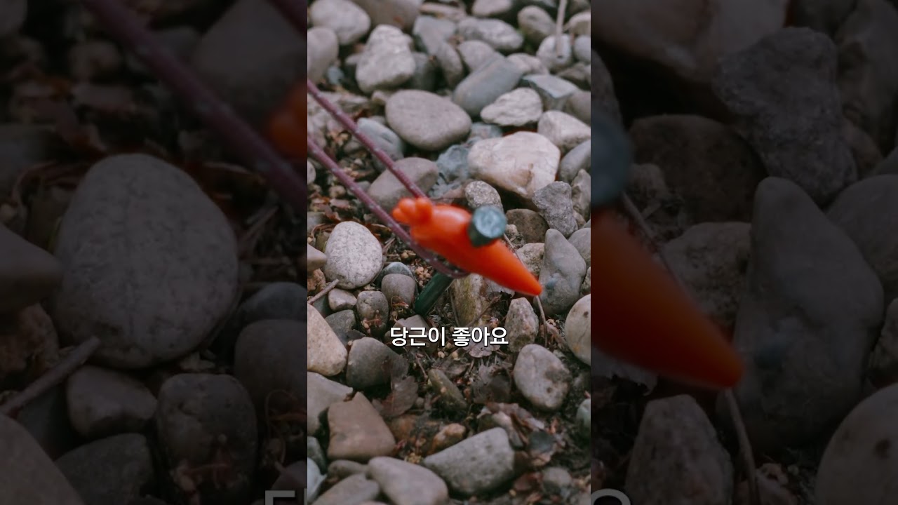 가성비 미쳤다&hellip;중국 타프 후기! #타오바오 #camping #캠핑 #타프