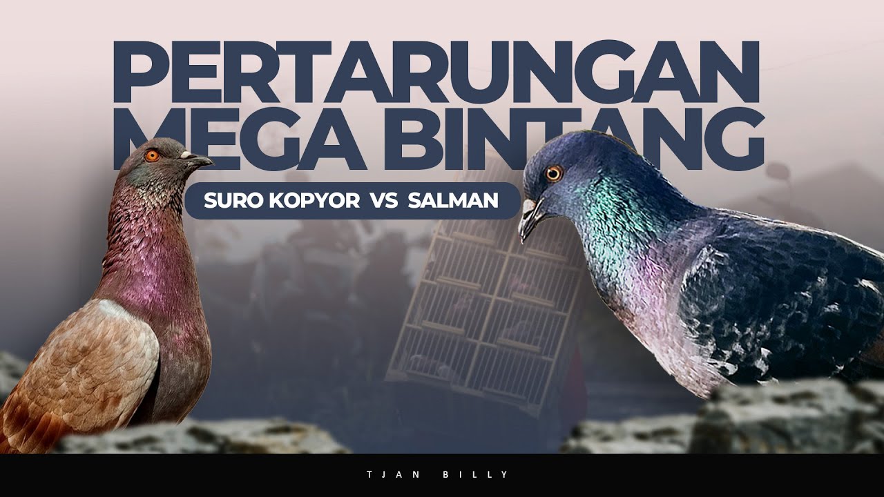 MENCARI JUARA DI KELAS MEGA BINTANG TIKET 2JT LAPAK PADEL TEGAL 