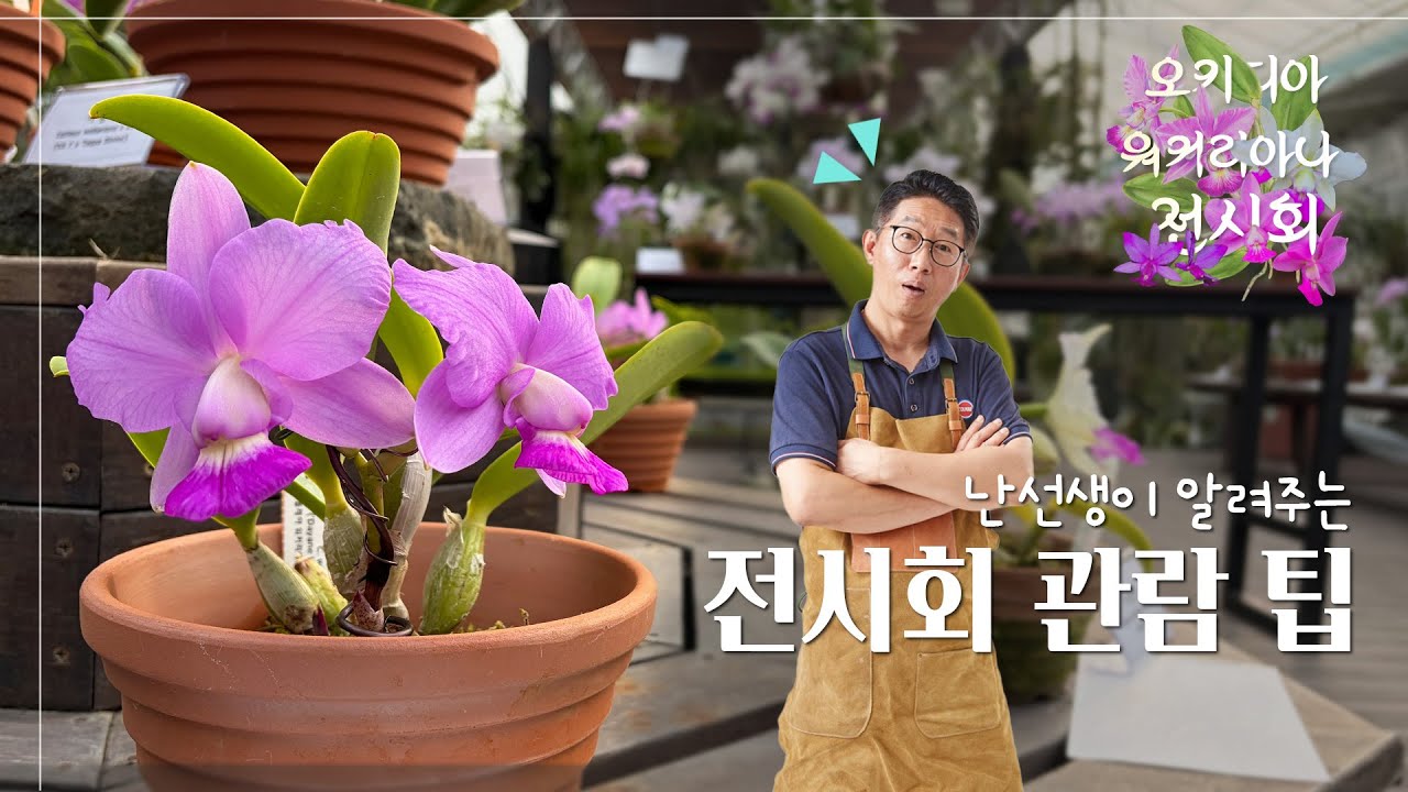 이렇게 관람하시면 재미가 100배!! 2026 오키디아 워커리아나 전시회 관람 방법 : 난알아요