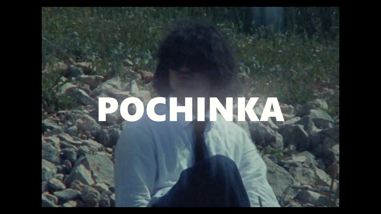 [SOLD] SALUKI + GRUPPA SKRYPTONITE + ARMICH TYPE BEAT - POCHINKA