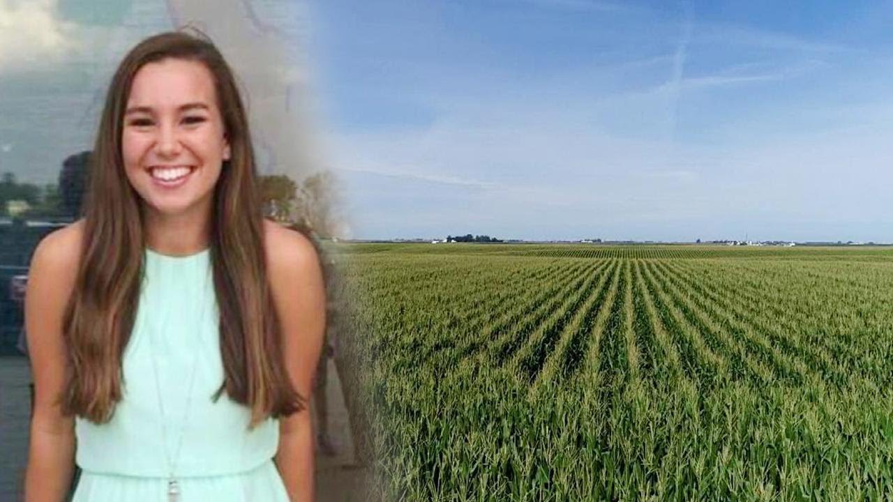 Search for Missing Iowa Woman Mollie Tibbetts Expands to Cornfields