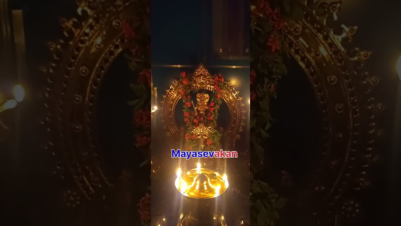 വിഷ്ണുമായ ധ്യാനം